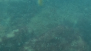 image10