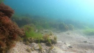 image1068