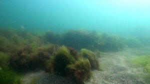 image1069