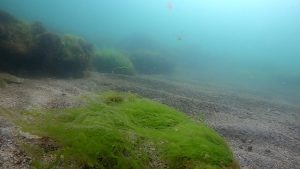 image1070