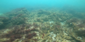 image1773