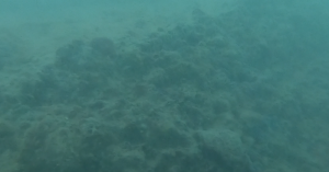 image9